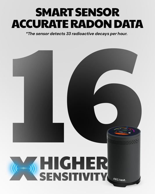 AEGTEST HOUND-3699 Radon Detector (Black)