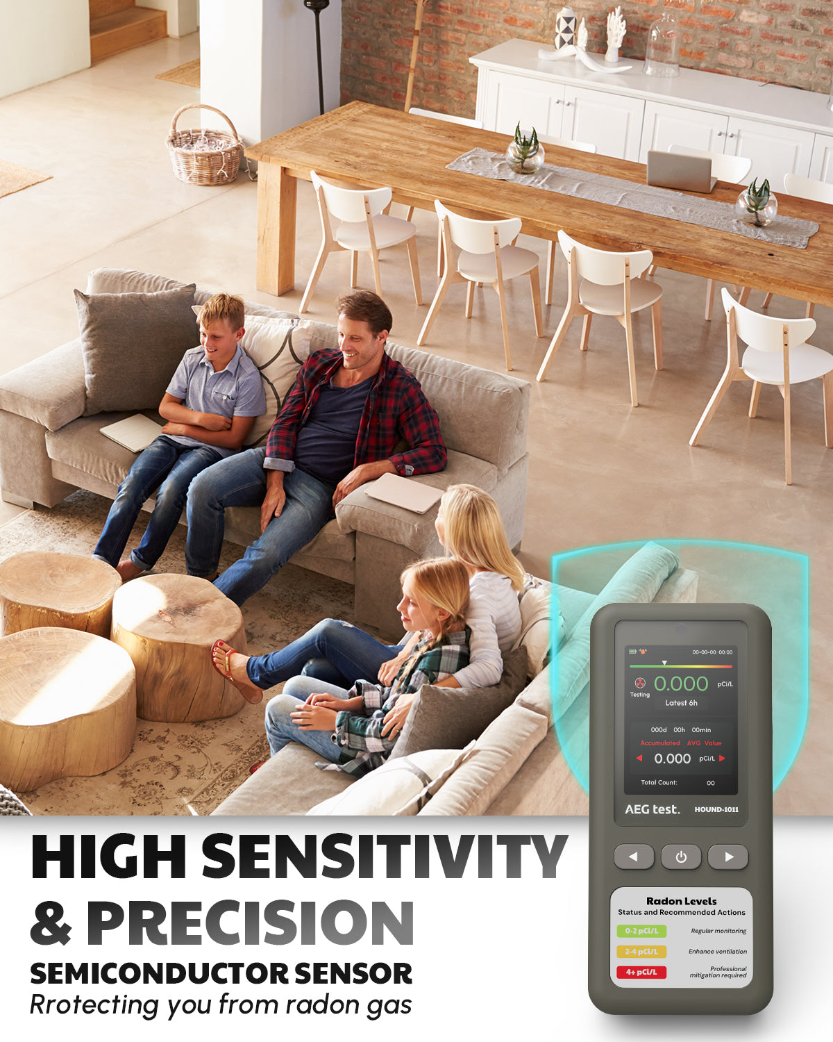 HOUND-1011 Portable Radon Detector - Gray